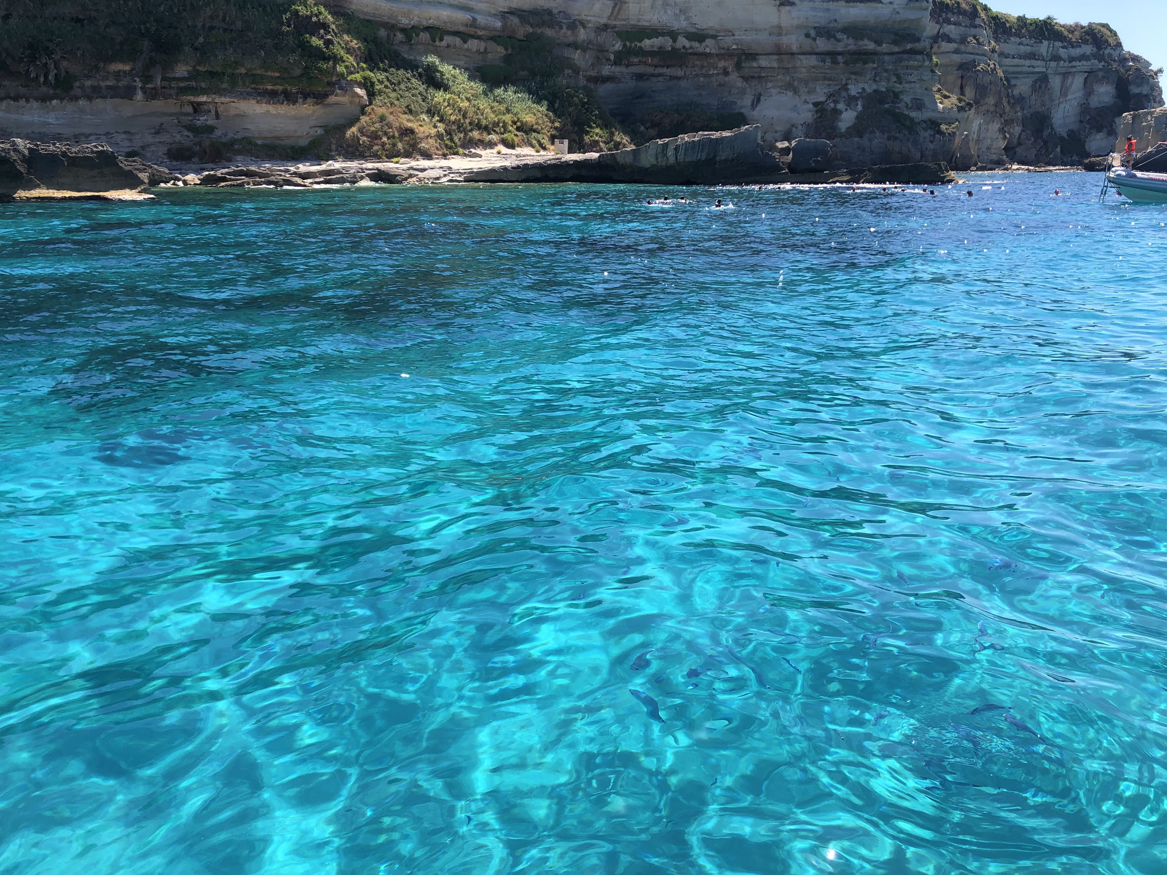 Scogliere e vegetazione a picco sul mare